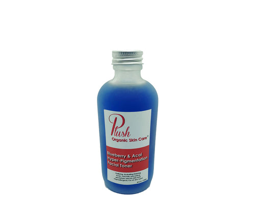 Blueberry Pomegranate Enzyme Facial Cleanser